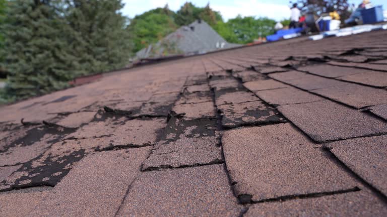 Best Storm Damage Roof Repair  in Fort Hood, TX